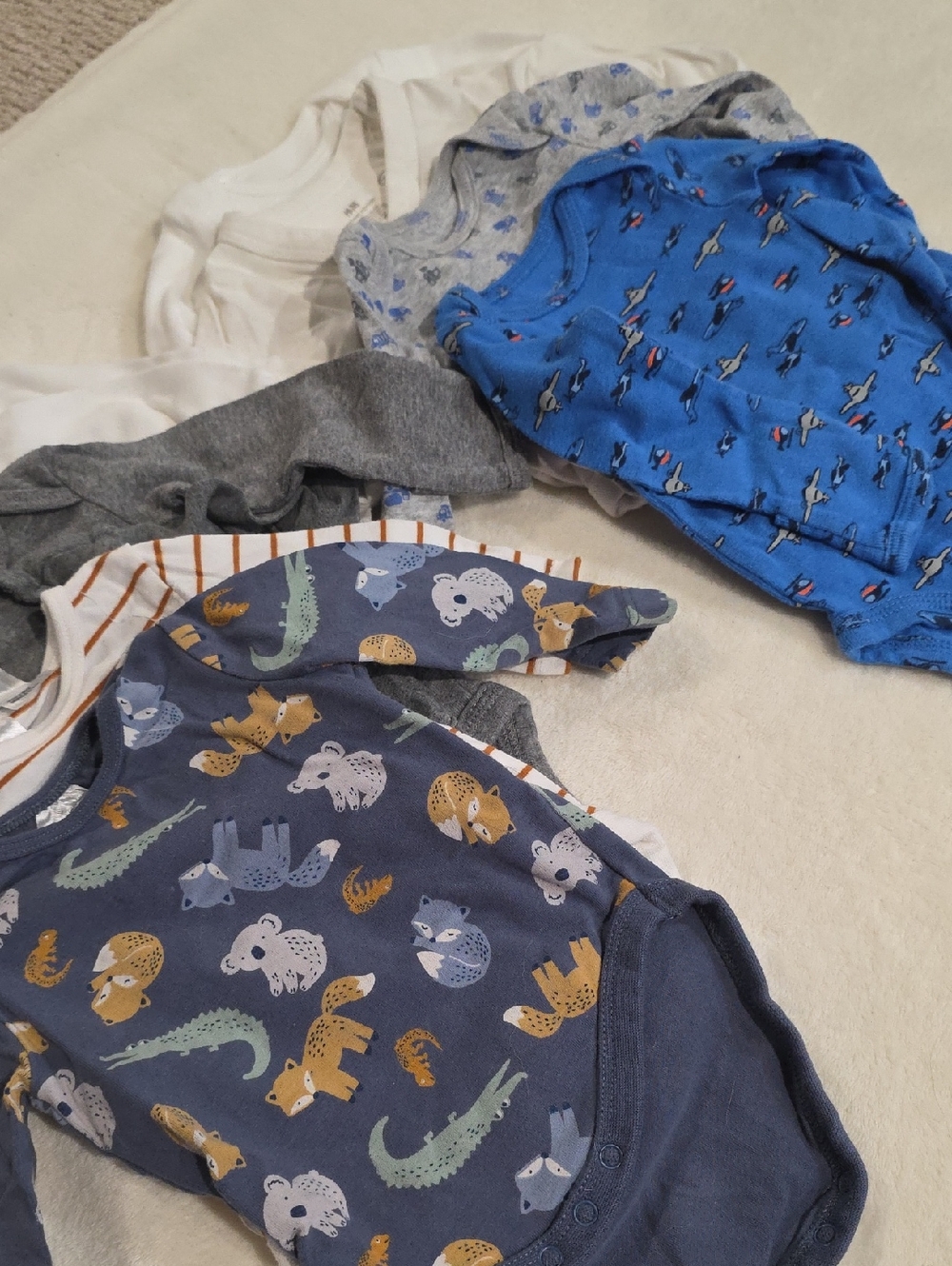 Newborn Long Sleeve Bodysuit Set 10 Pieces